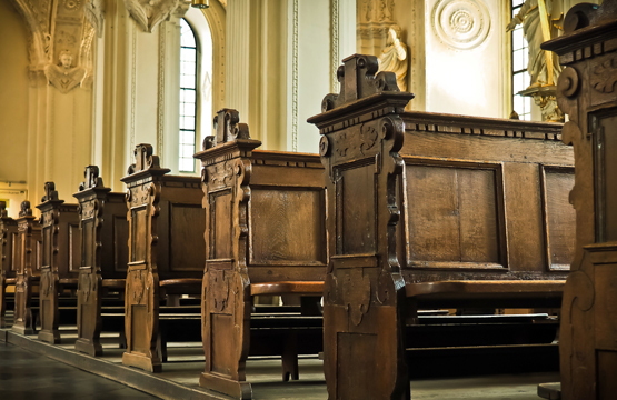 GOD'S VINEYARD SANCTUARY